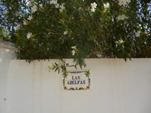 Adelfas blancas y azulejos con la frase adelfas blancas en una imagen usada para ilustrar la expresión las reclamaciones al maestro armero.