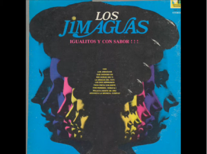 Funda del disco de Los Jimaguas en el que cantan “Igualito y con sabor”. Una imagen usada para ilustrar la expresión "regalar el oído". 