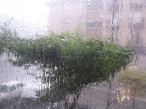 Copa de un árbol azotada por el viento vista tras un cristal mojado por la lluvia en una imagen usada para ilustrar la expresión preparar el terreno.