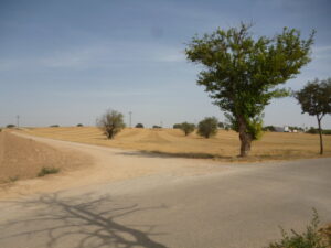 Camino polvoriento en la provincia de Albacete, en la región de La Mancha, en una imagen usada para ilustrar la expresión IR Y VENIR.