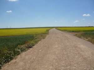 Camino rural de La Mancha en una imagen usada para ilustrar la expresión campar por sus respetos.