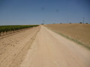 Imagen de un camino rural de La Mancha usada para ilustrar la expresión mano de santo.