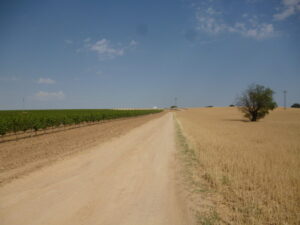 Imagen de un camino rural de La Mancha usada para ilustrar la expresión revolver el estómago.